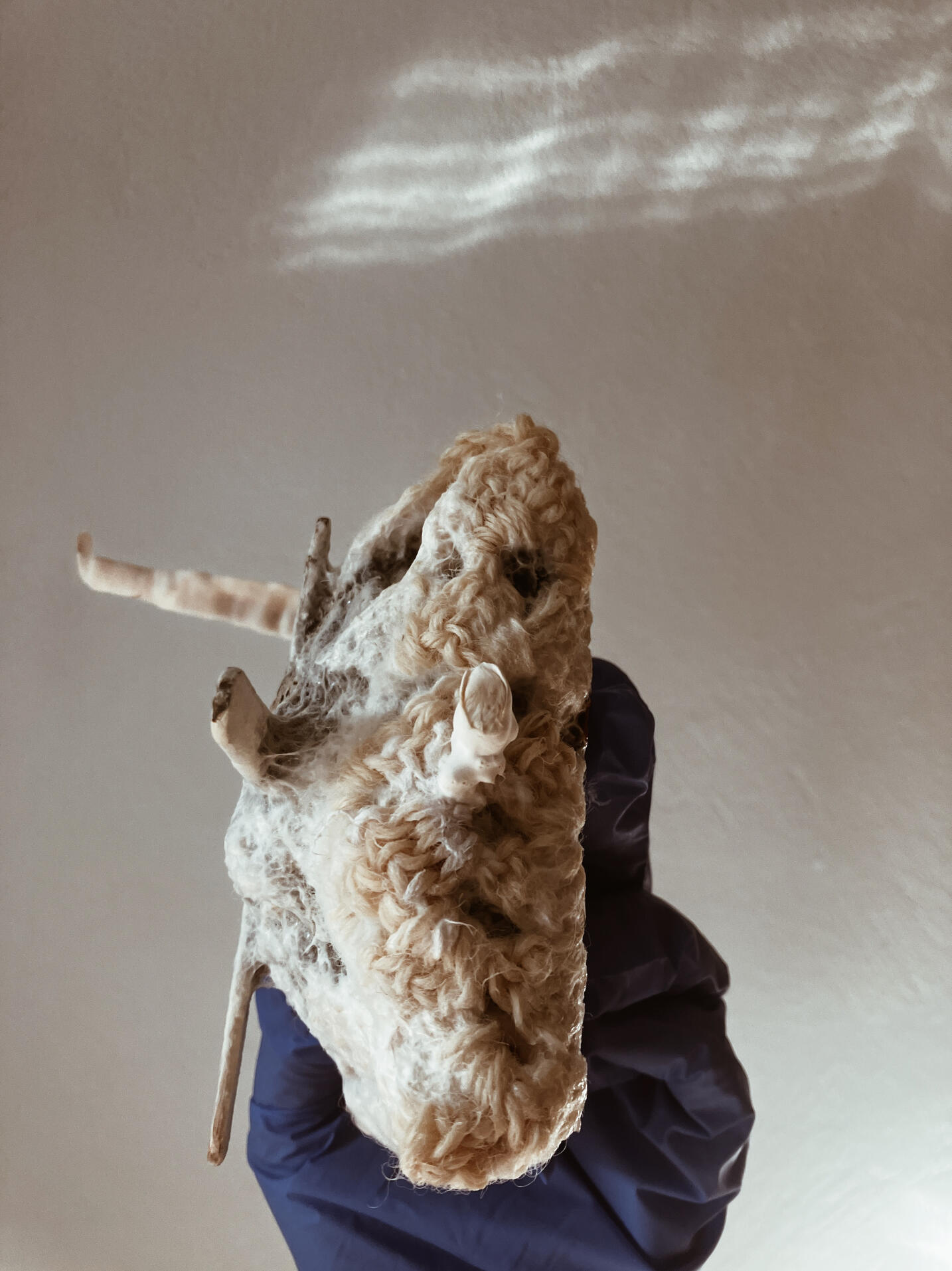Untitled Untitled